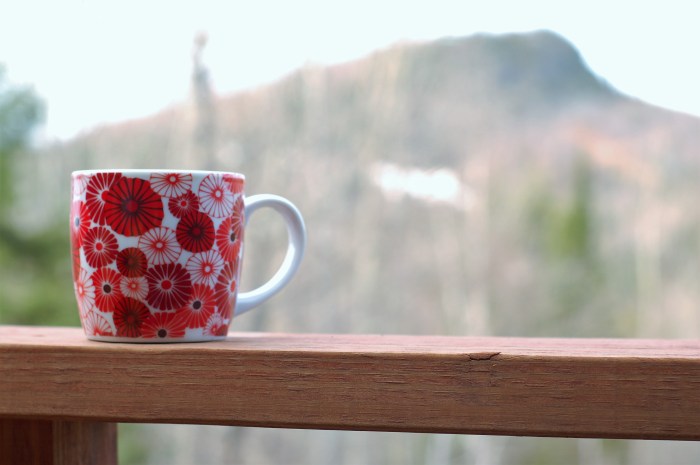 142C at Caribou Highlands, Lutsen www.FromLutsenwithLove.com