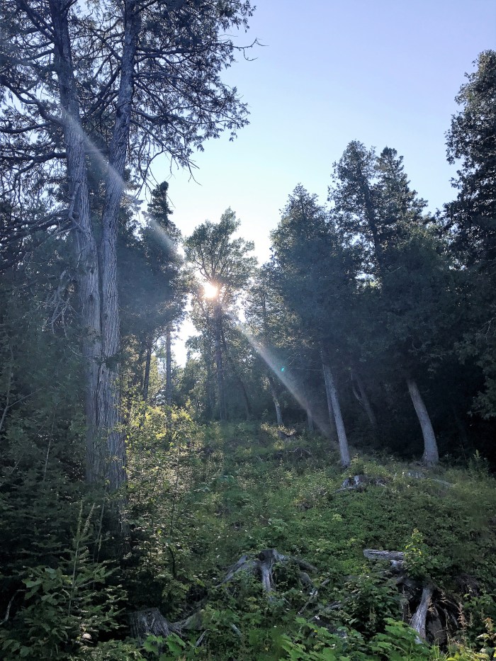 Moose Mountain descent at Lutsen mountains