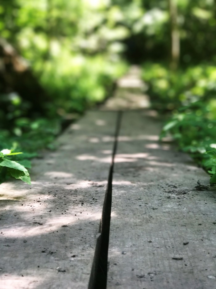 Footbridge along the Superior Hiking Trail near Lutsen Mountains Mystery Mountain. www.FromLutsenwithLove.com