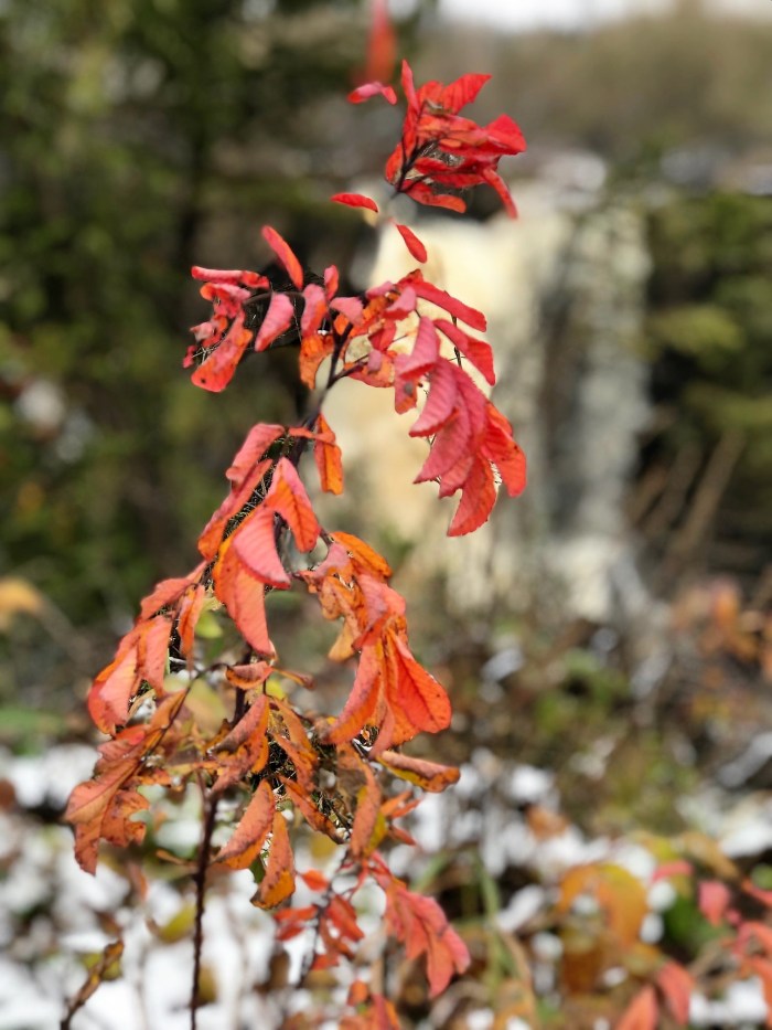 Fading fall colors, Grand Portage MN by www.FromLutsenwithLove.com