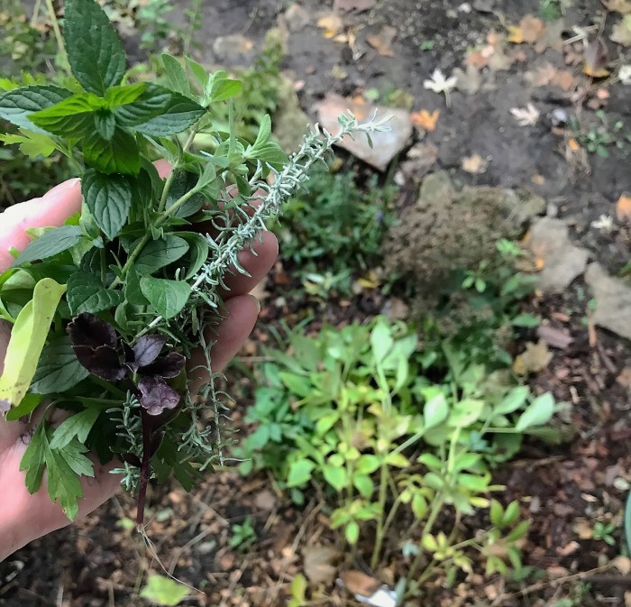 Minnesota herbs, www.fromlutsenwithlove.com