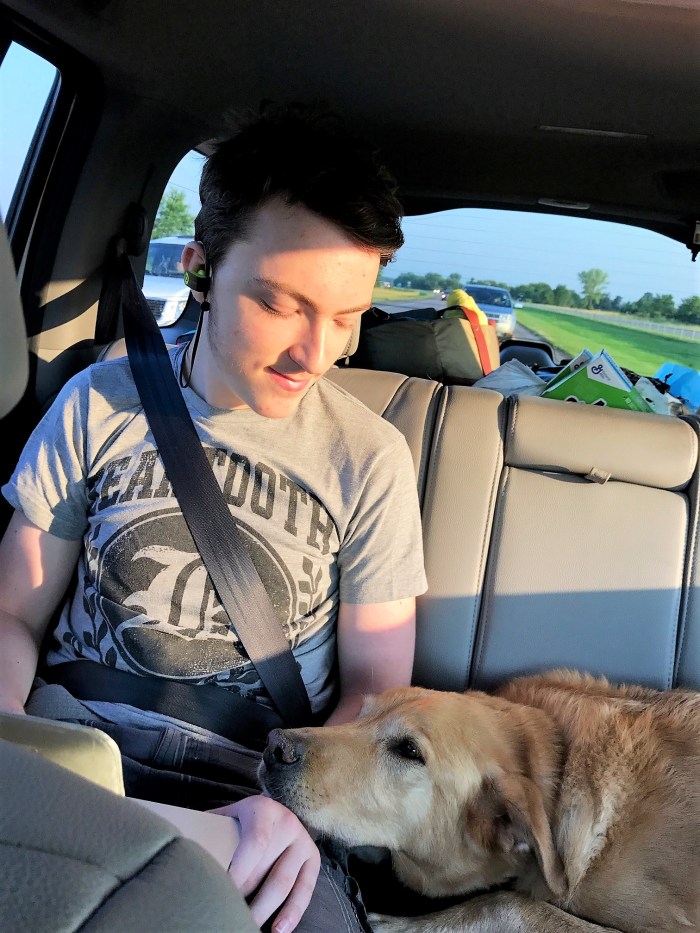 Lutsen_142C_Dog_Friendly_Rental_10