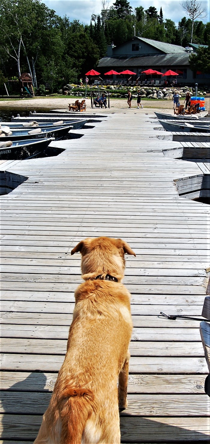 Lutsen_142C_Dog_Friendly_Rental_Gunflint Trail_