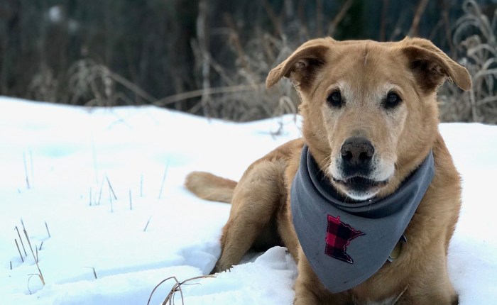 Minnesota-Themed Holiday Gifts. Just For&nbsp;You!