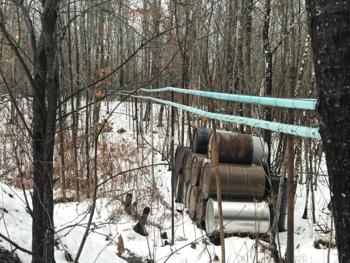 Lutsen, Minnesota Caribou Cream maple tubing