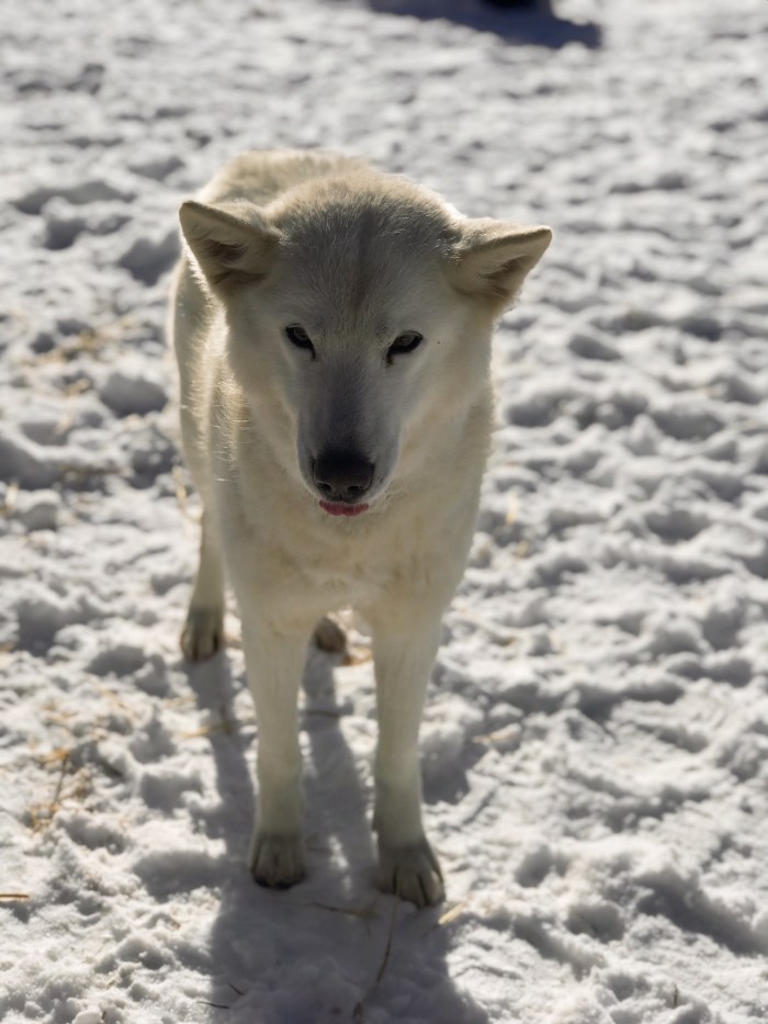 Points Unknown Hovland MN