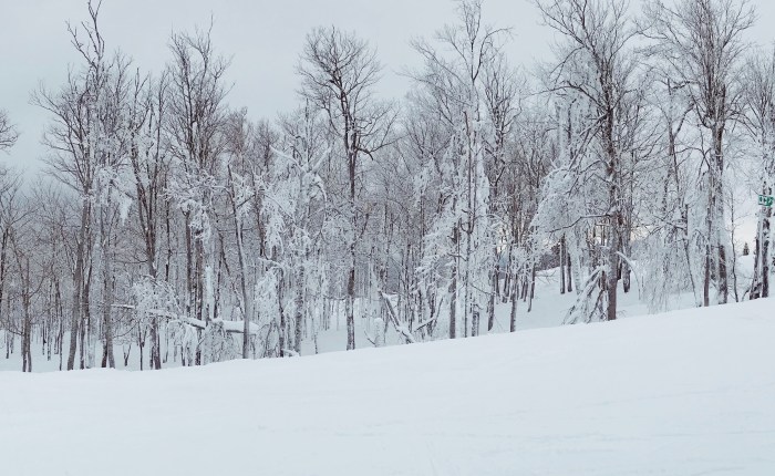 Lutsen’s Winter Wonderland