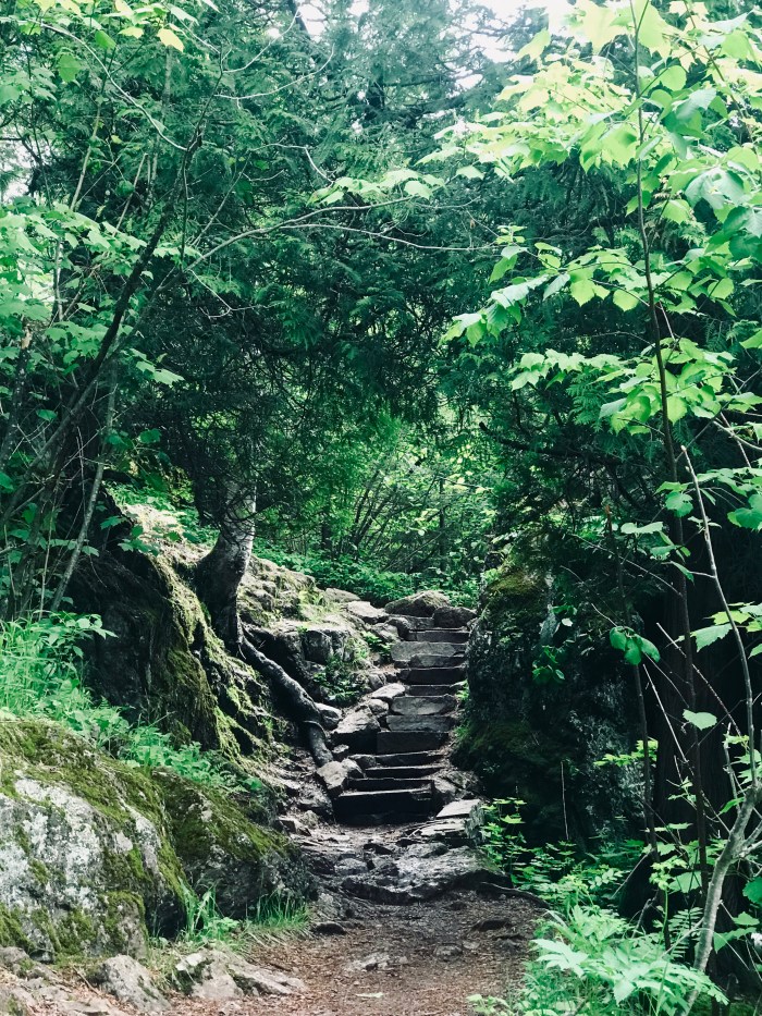 Superior HIking Trail, Temperance River, Tofte MN, Carlton Peak