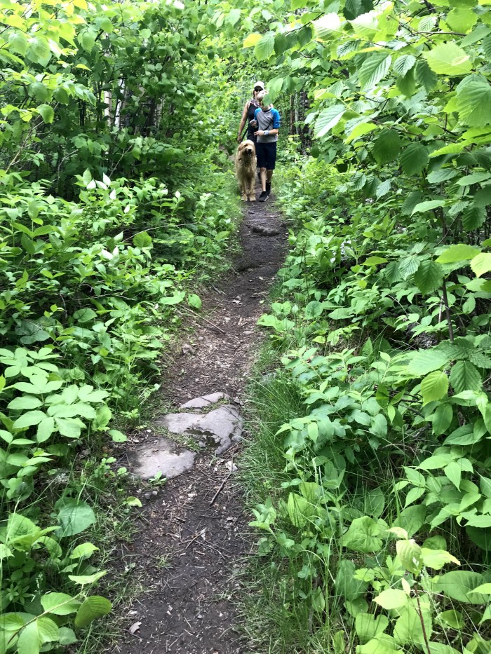 Superior HIking Trail, Temperance River, Carlton Peak, Tofte Minnesota