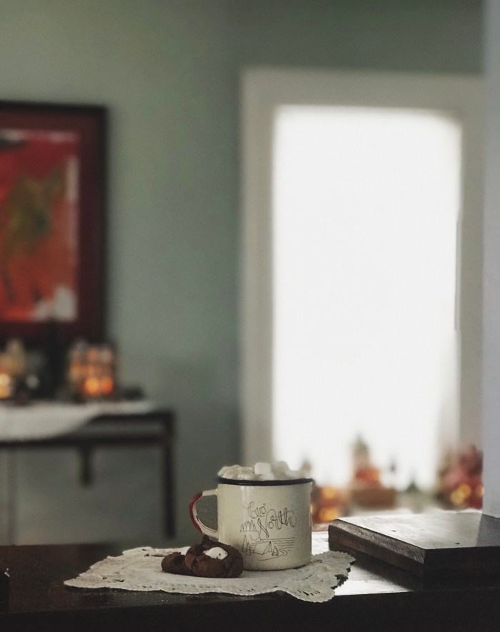 Cookies for Minnesota Ski Season, Lutsen MN